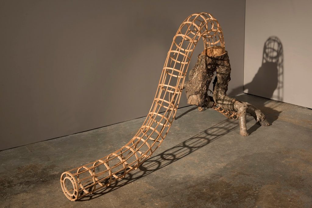 A wooden artwork consisting of a tubular structure that ends in a tree trunk