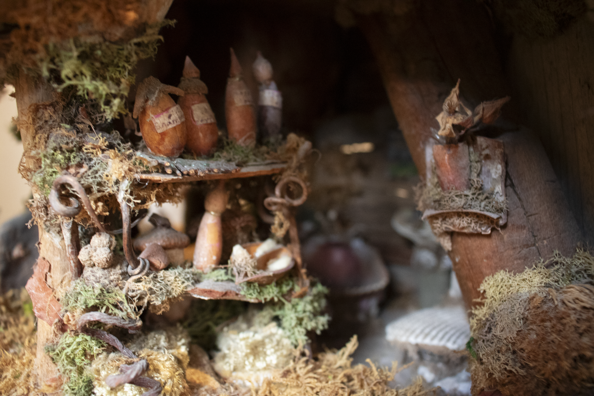 Miniature woodland scene featuring a rustic shelf with tiny bottles and items, surrounded by moss and natural textures, conveying a whimsical, enchanted feel.