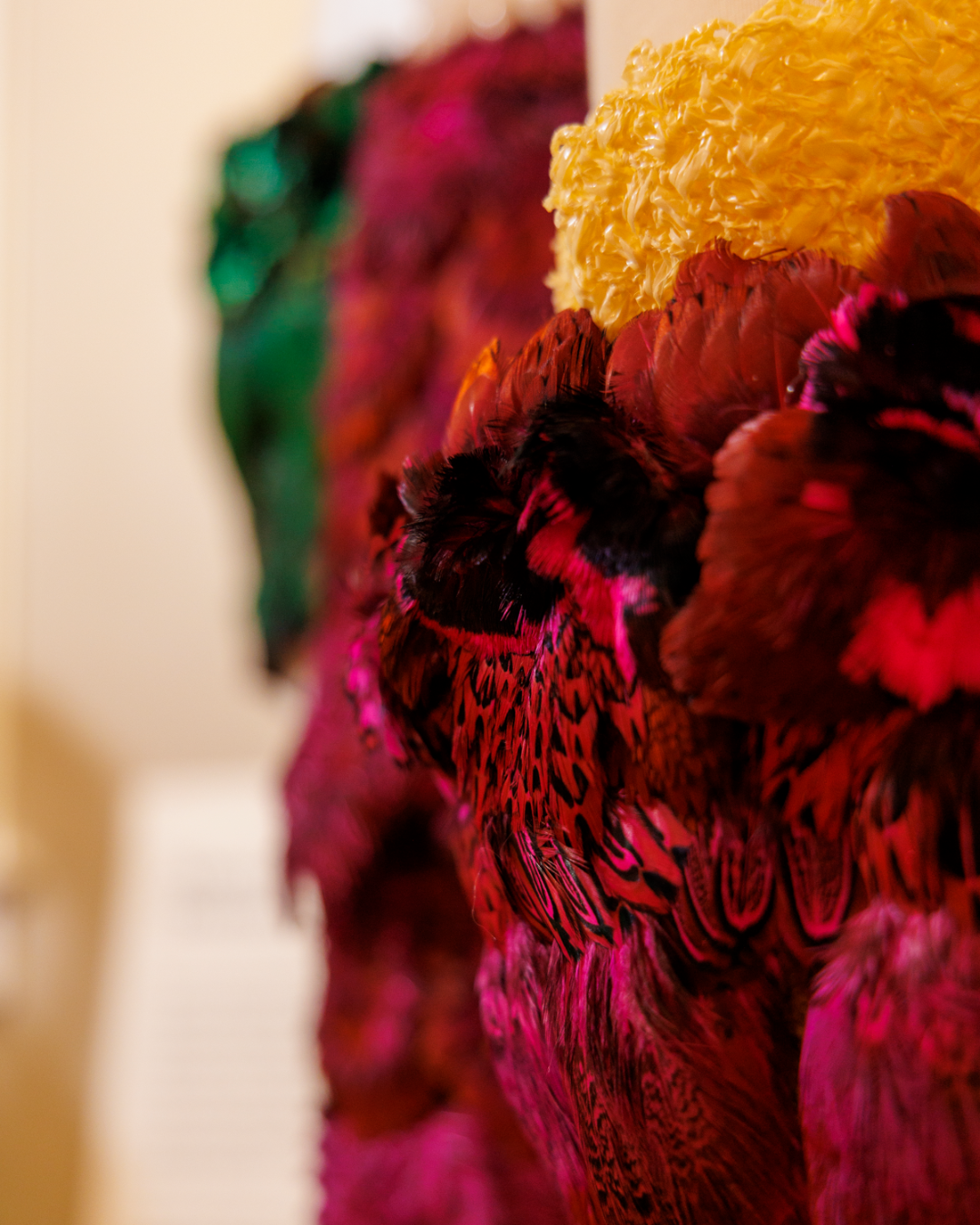 Close-up of vibrant feathers in shades of red, yellow, green, and purple, creating a rich tapestry of colors. The scene feels lively and textured.